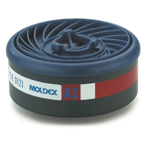 Expressleverans Moldex A2 Gasfilter